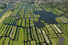 Coronahulp Langedijk