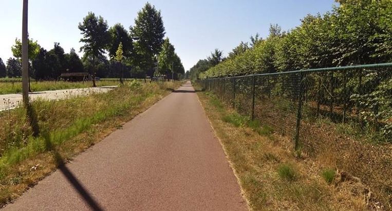 Hoge respons mobiliteitsenquÃªte