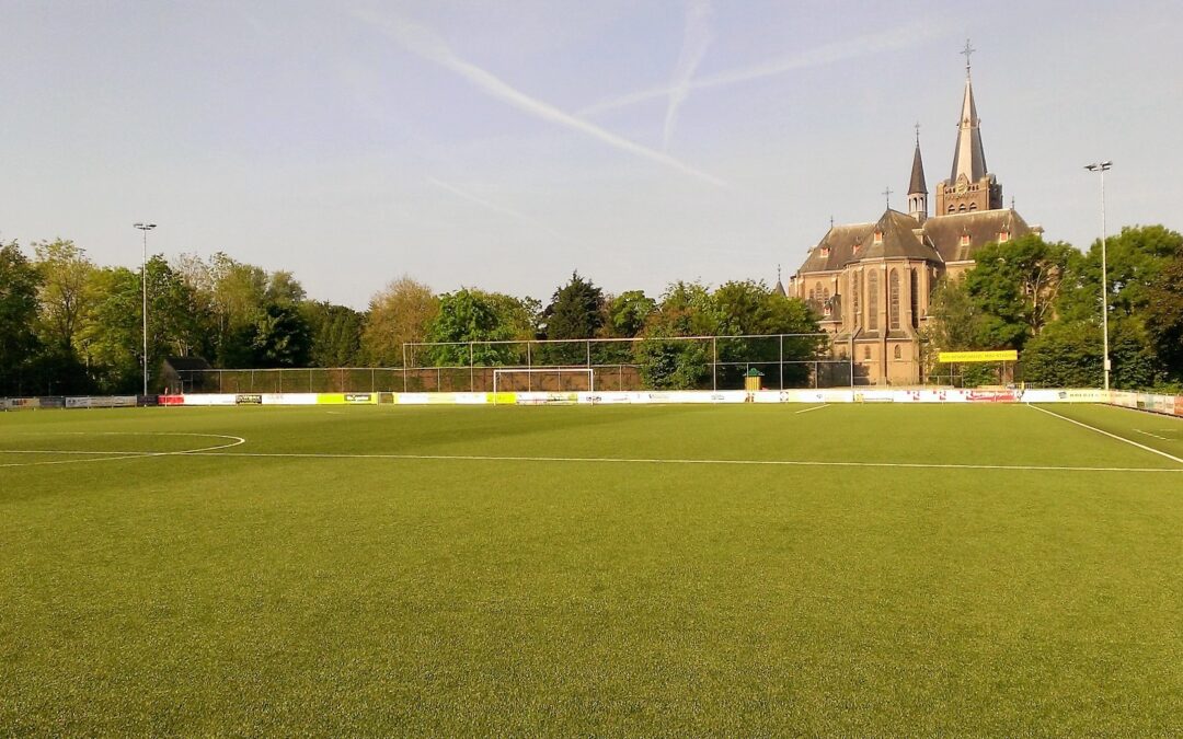 Van de Voorzitter: LSVV in 2020