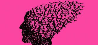 Gemeenten Langedijk en Heerhugowaard werken aan dementievriendelijke gemeente