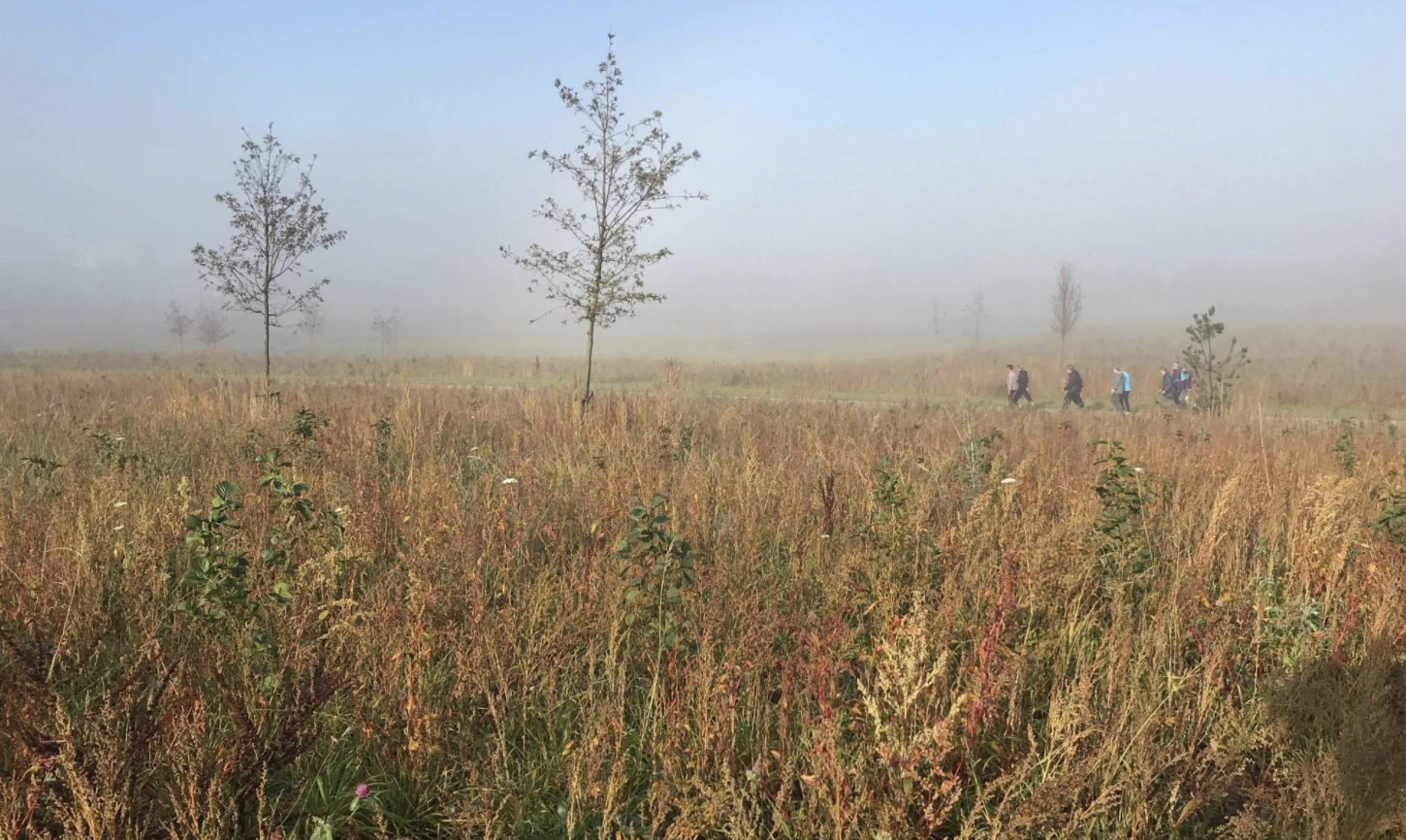 Schermafbeelding 2021-05-07 om 09.16.58