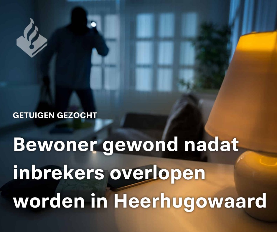 275333650_266466929004038_6516341126433554450_n