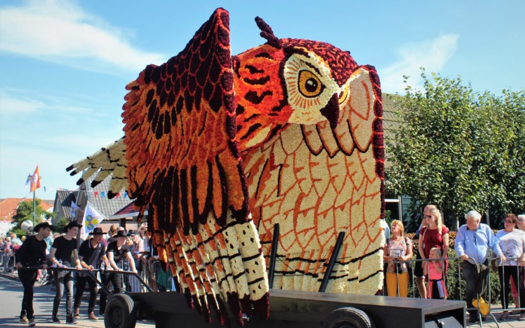 Bloemencorso-koorts terug in Winkel