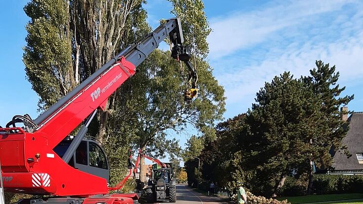 Bomenonderhoud voor gezonde bomen en een veilige omgeving