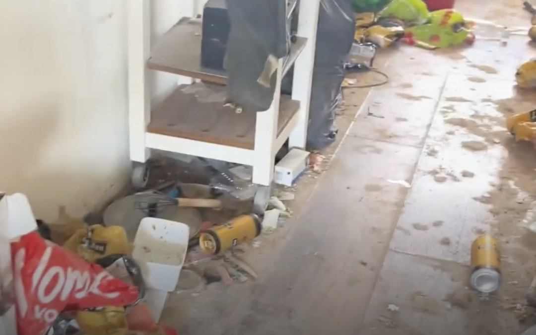 Ernstig verwaarloosde kat uit smerig appartement Dijk en Waard gehaald