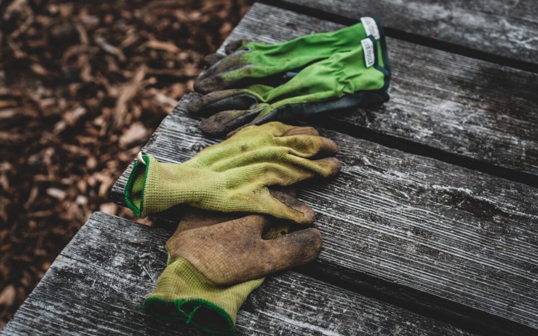 Maak het verschil als tuinvrijwilliger bij Wonen Plus Welzijn
