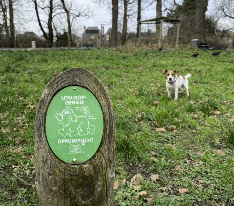 Extra schoonmaakacties tegen hondenpoep