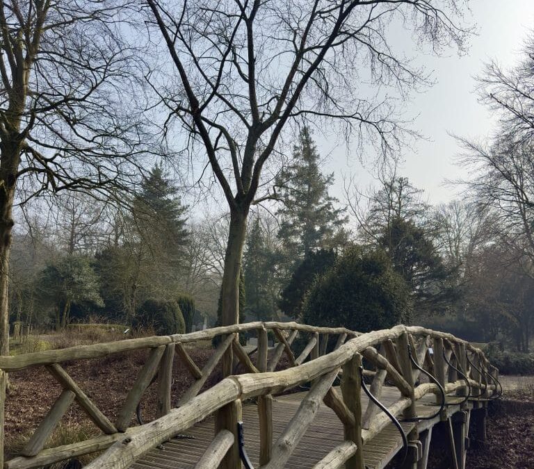 Natuurlijk begraven straks mogelijk op begraafplaats Westerweg