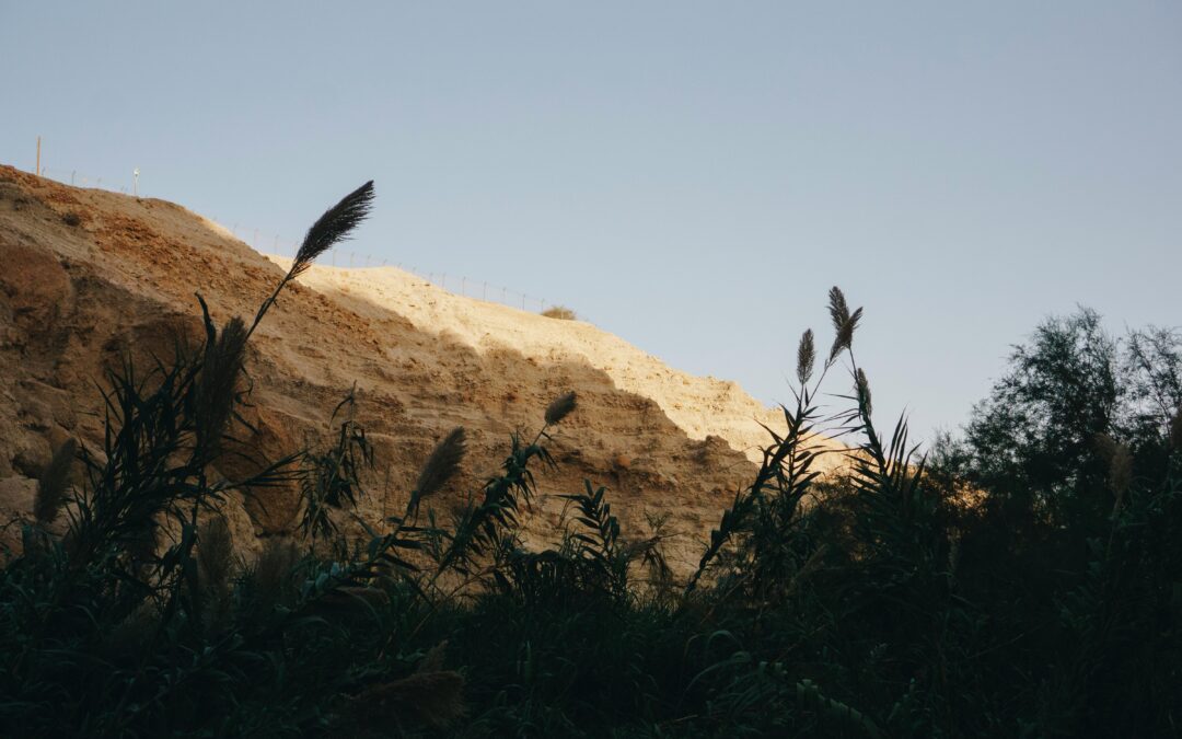Klaar voor de klim? Hier begint het avontuur!