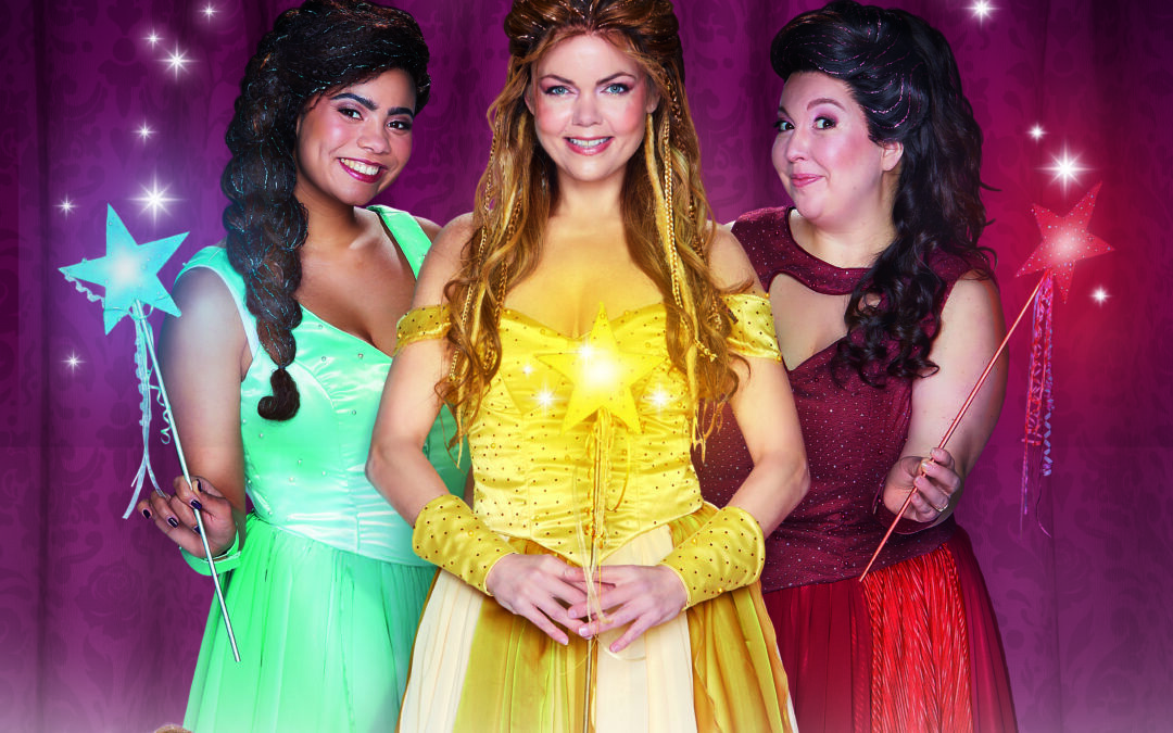 Doornroosje De Musical in Theater De Vest