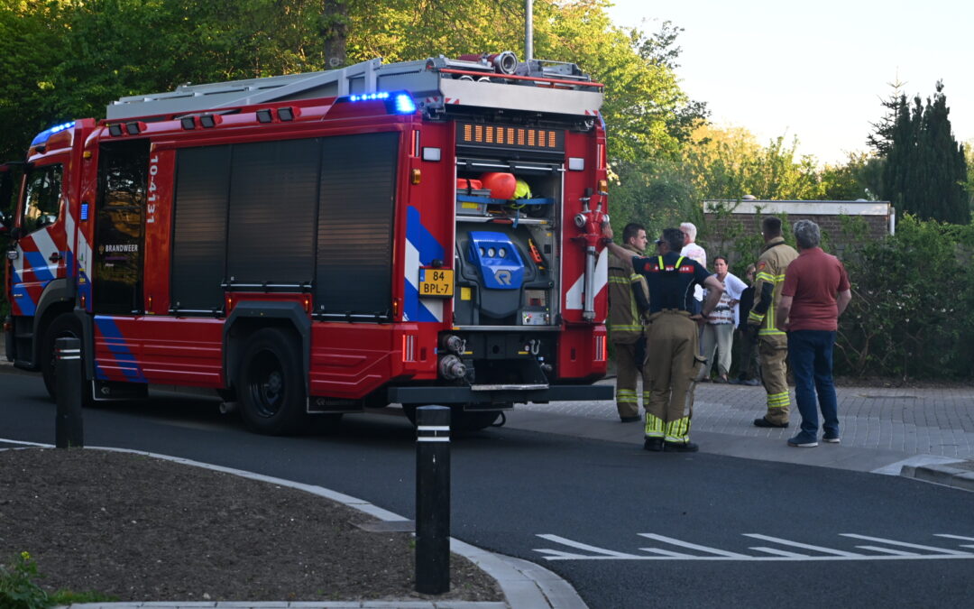 BBQ-kolen veroorzaken brand in groene bak in Alkmaar