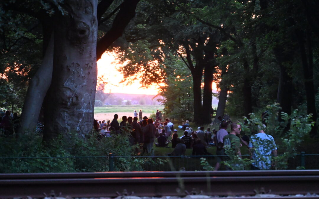 Veel belangstelling voor zonnewende in Heilooërbos.