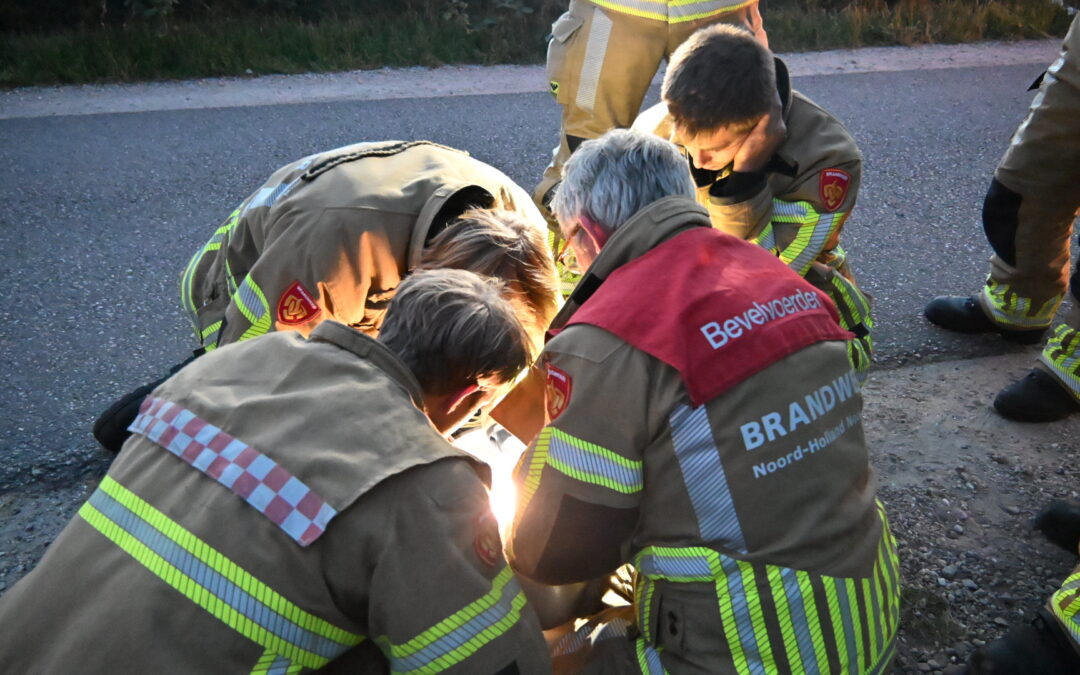 Konijnen gered uit beschermingsnet in Heiloo